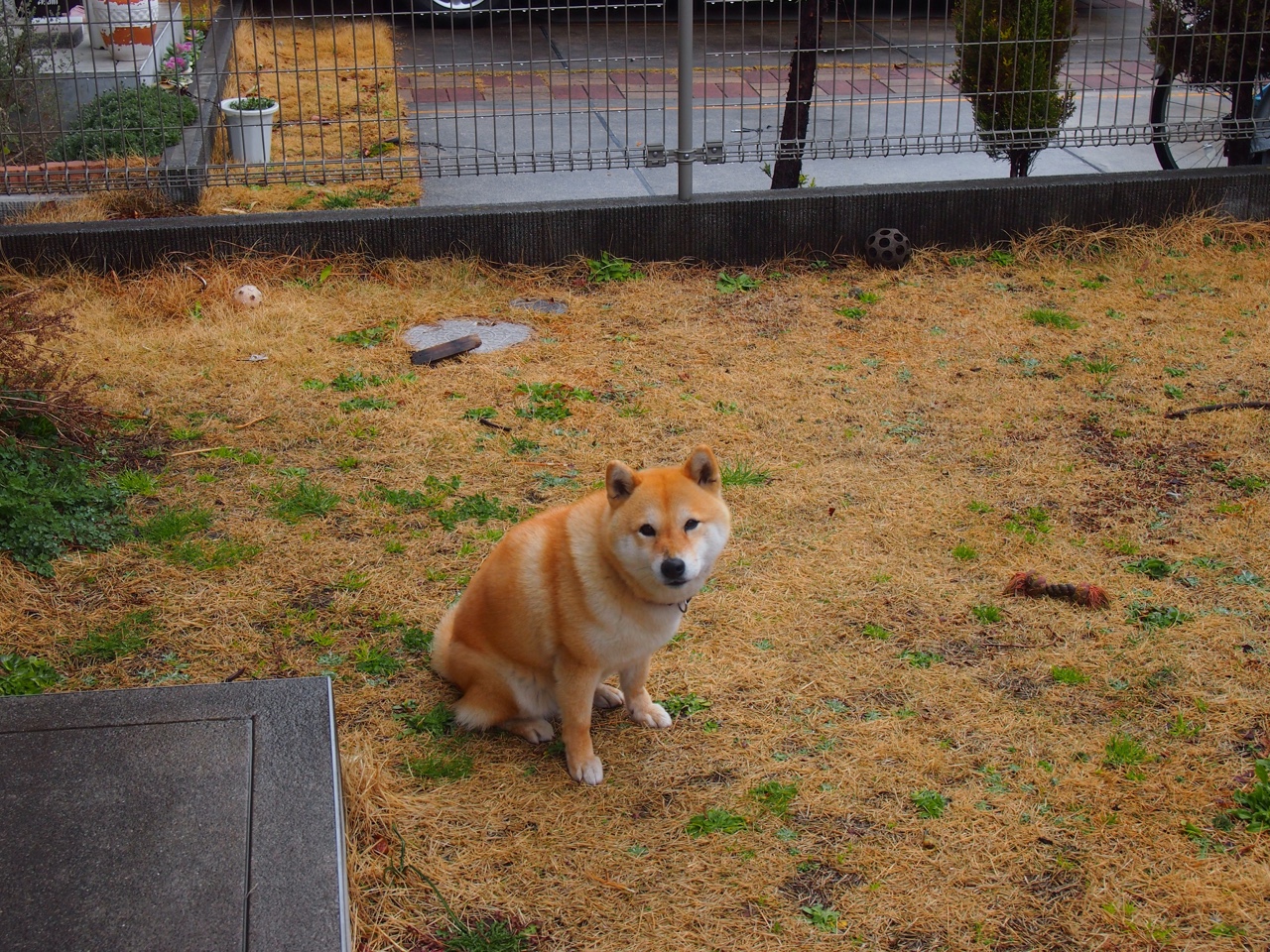 _营地野外运动节:自然、冒险与健康_,户外营地活动方案设计