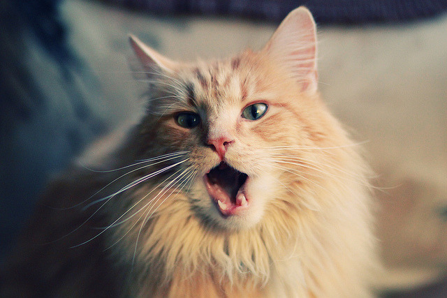 切尔西青训系统再次出精彩球员,切尔西青训井喷