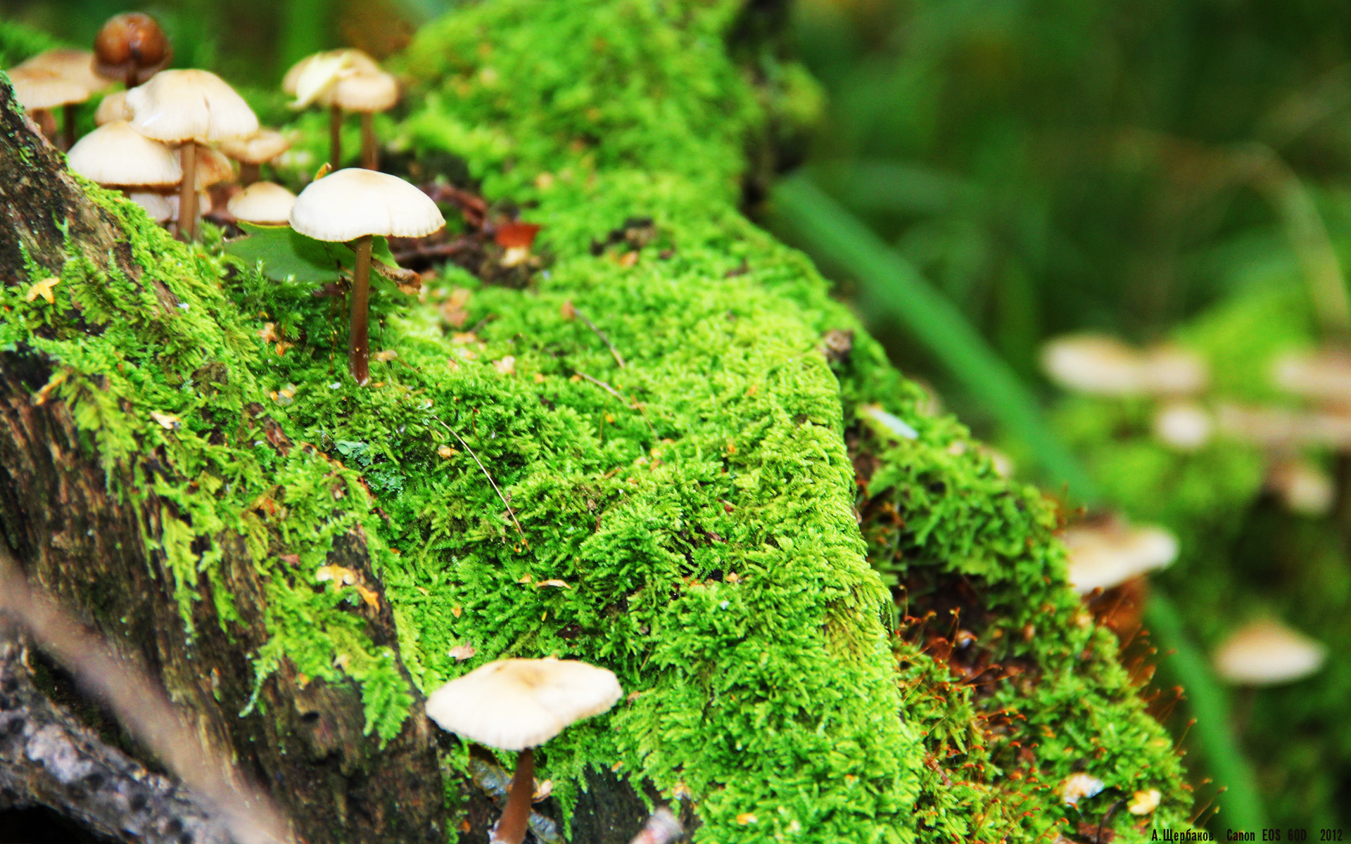 未来五年：球队重建策略的误区与机遇，nba重建球队