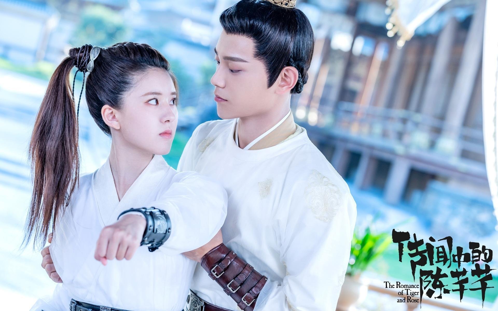 球迷热情:现场应援令人难忘的瞬间,球迷的热爱