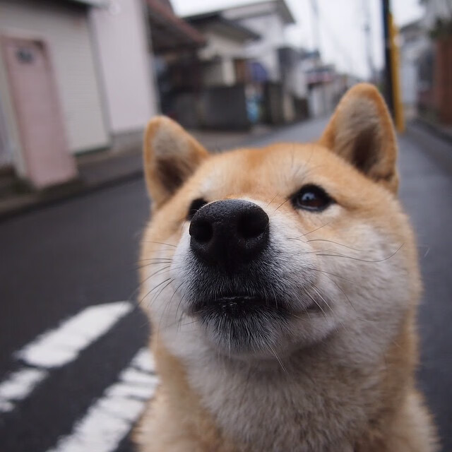 球迷热情：球迷夜场助威盛况记录，现场球迷