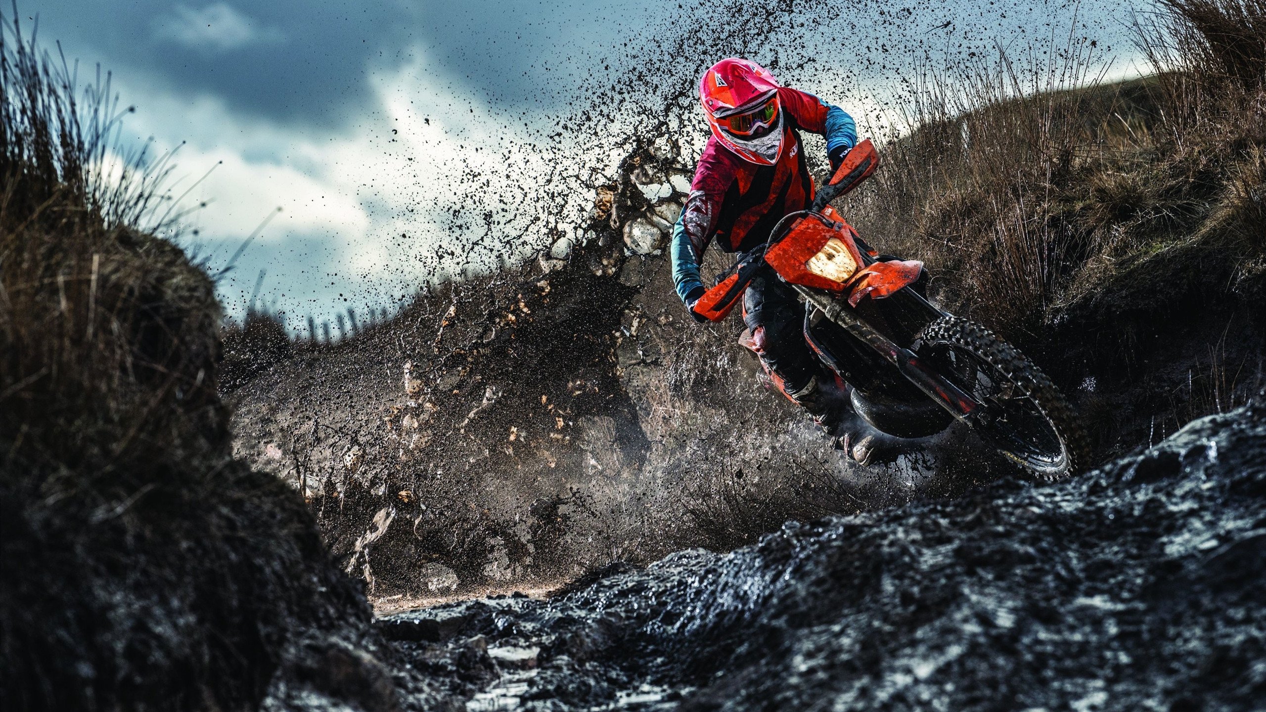 BLG训练营开放日吸引百余名青训选手，blg战队教练是谁