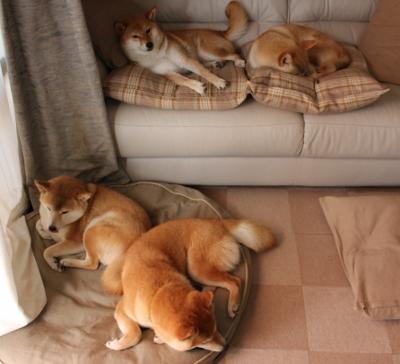 伯恩茅斯遭遇失利,保级前景堪忧,伯恩茅斯是哪个城市