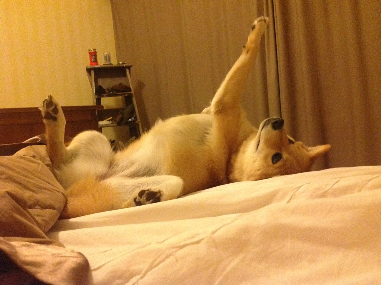 切尔西边路突破犀利，蓝军誓言重返巅峰，切尔西的战术