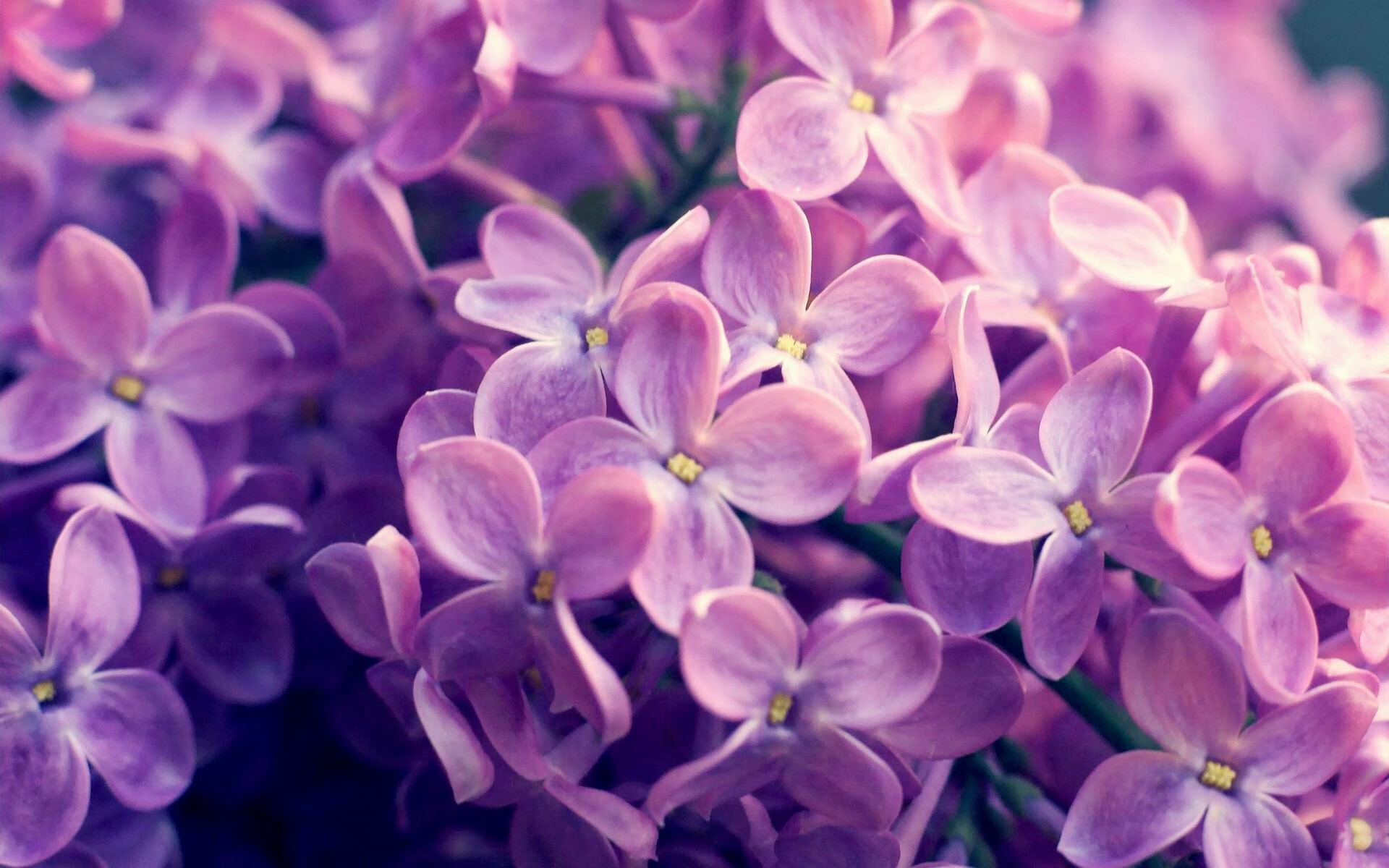 切尔西逆袭成功，连胜开启好形势，切尔西的比赛