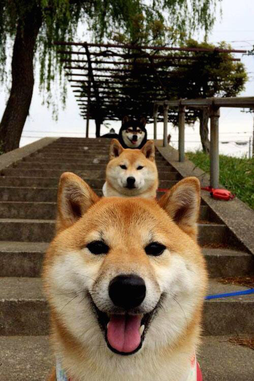 埃弗顿客场大胜诺里奇，豪取三分，埃弗顿队