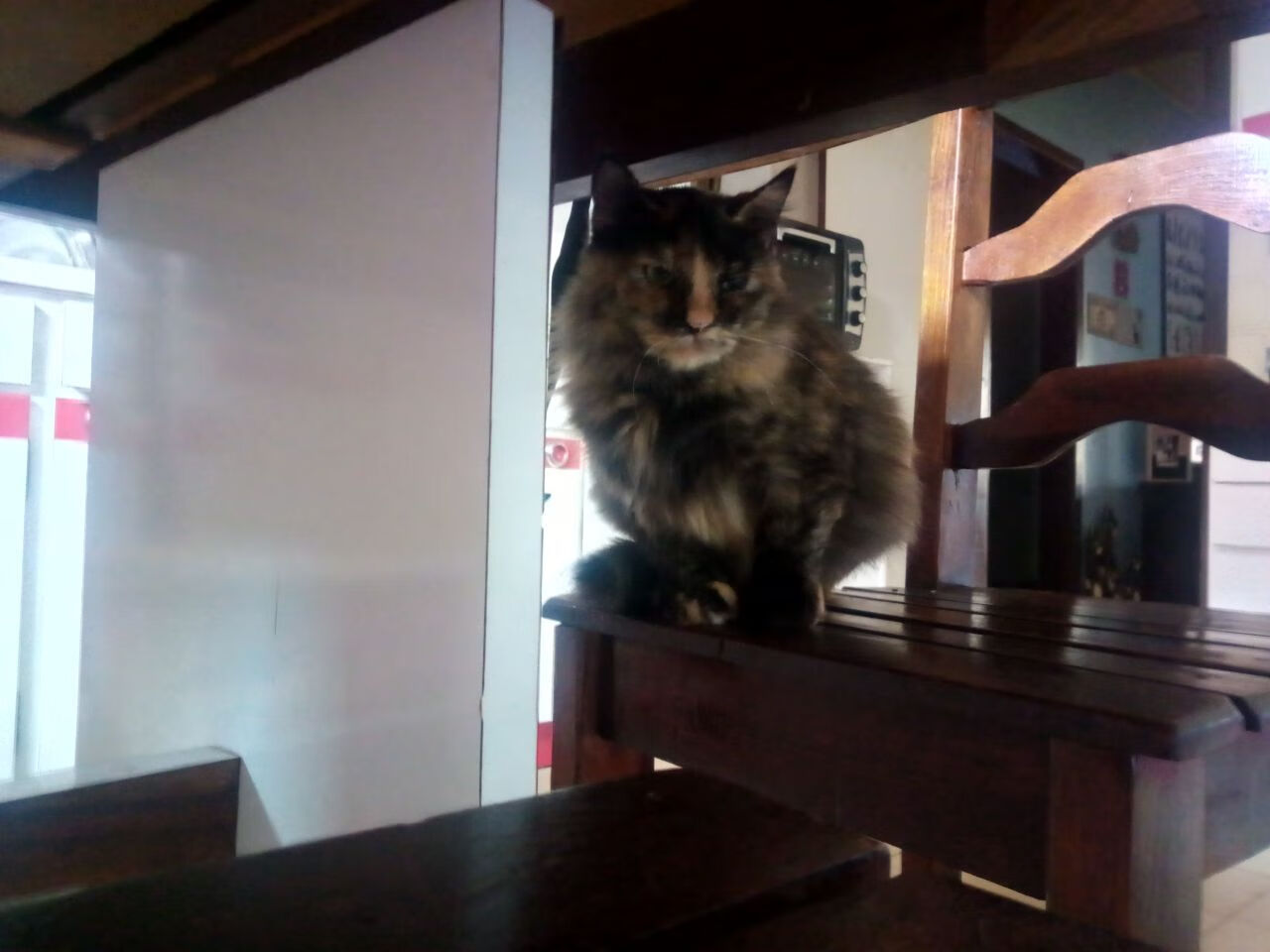 埃弗顿攻守切换迅速,古迪逊公园誓保英超资格,古迪逊公园球场和安菲尔德距离