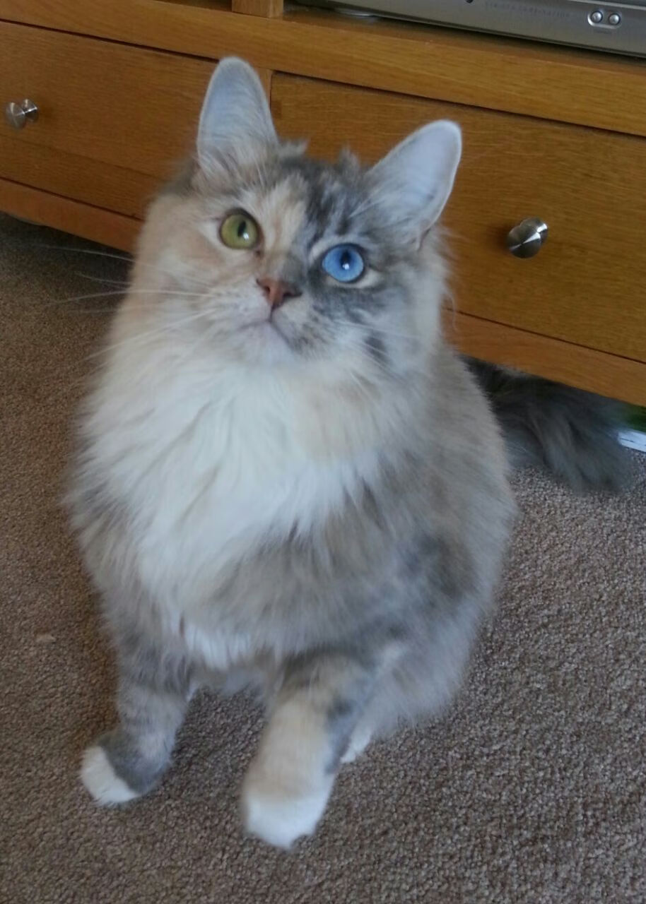 摩洛哥队防守表现出色，零封对手，摩洛哥球队强不强