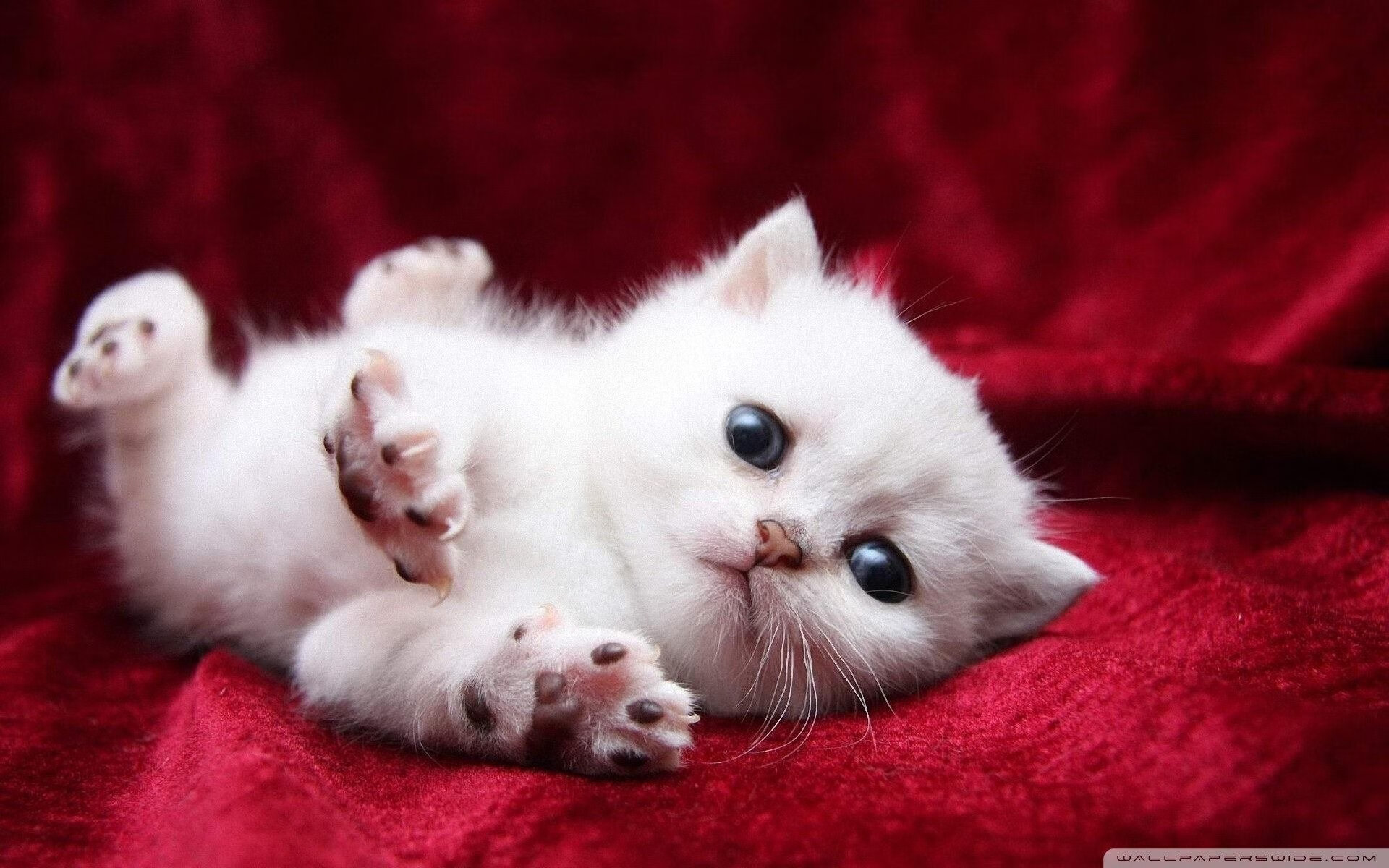 比赛垃圾时间是否应有管理机制,比赛前垃圾话