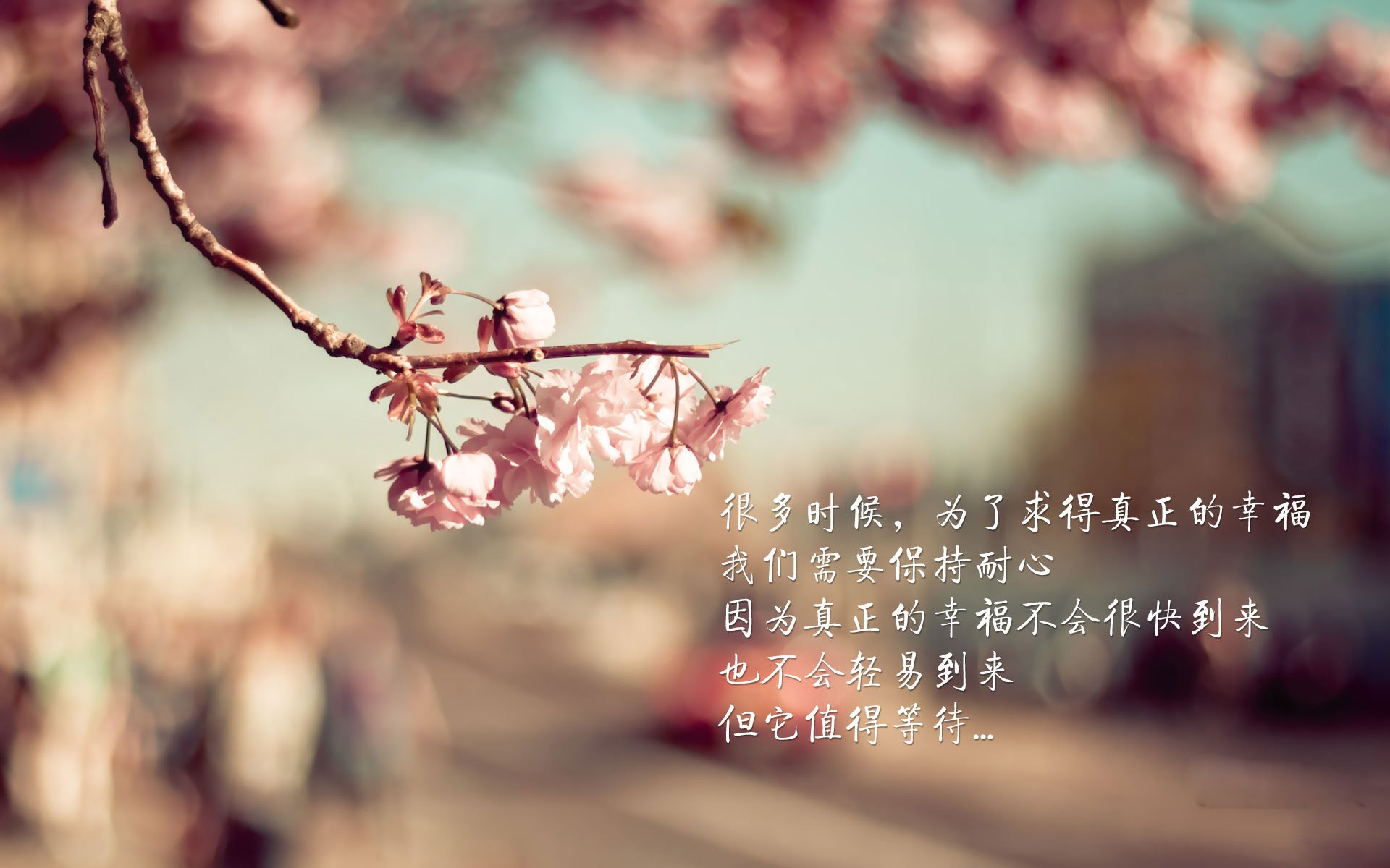 爵士队防守强度创赛季新高