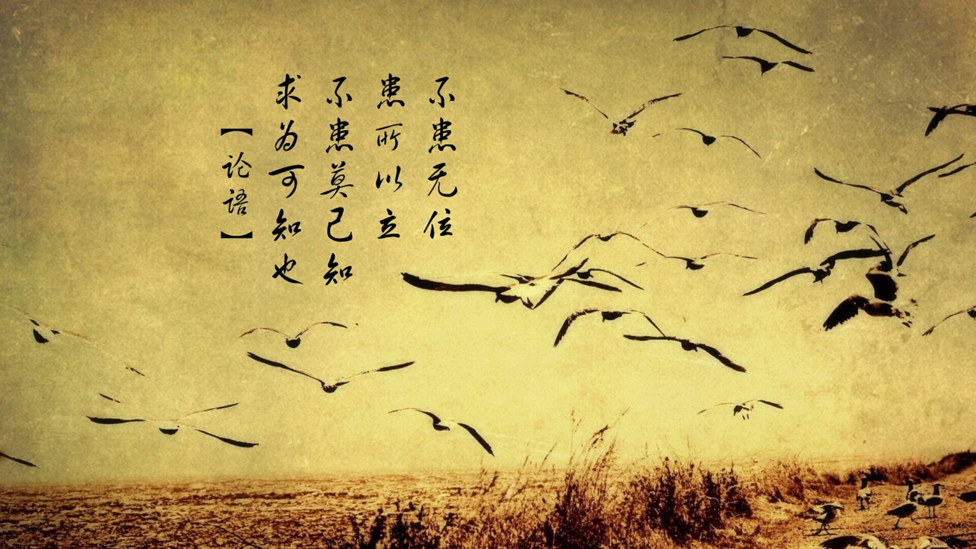 阿利松在对阵阿森纳的比赛中扑出关键点球，阿利松穿过几号球衣