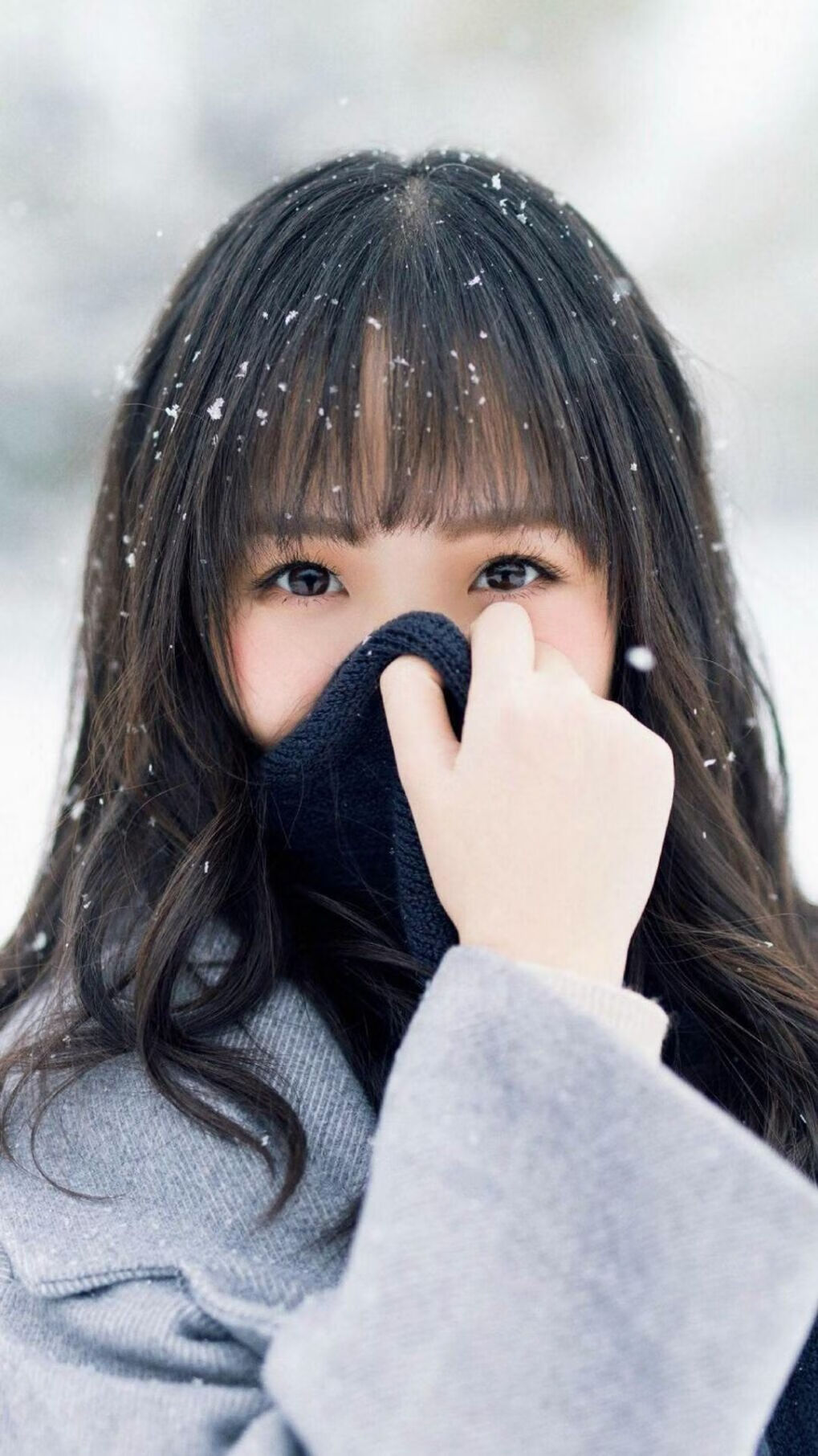 “四川省体育馆拳击赛：金牌之争，比赛悬念丛生，谁将脱颖而出？”