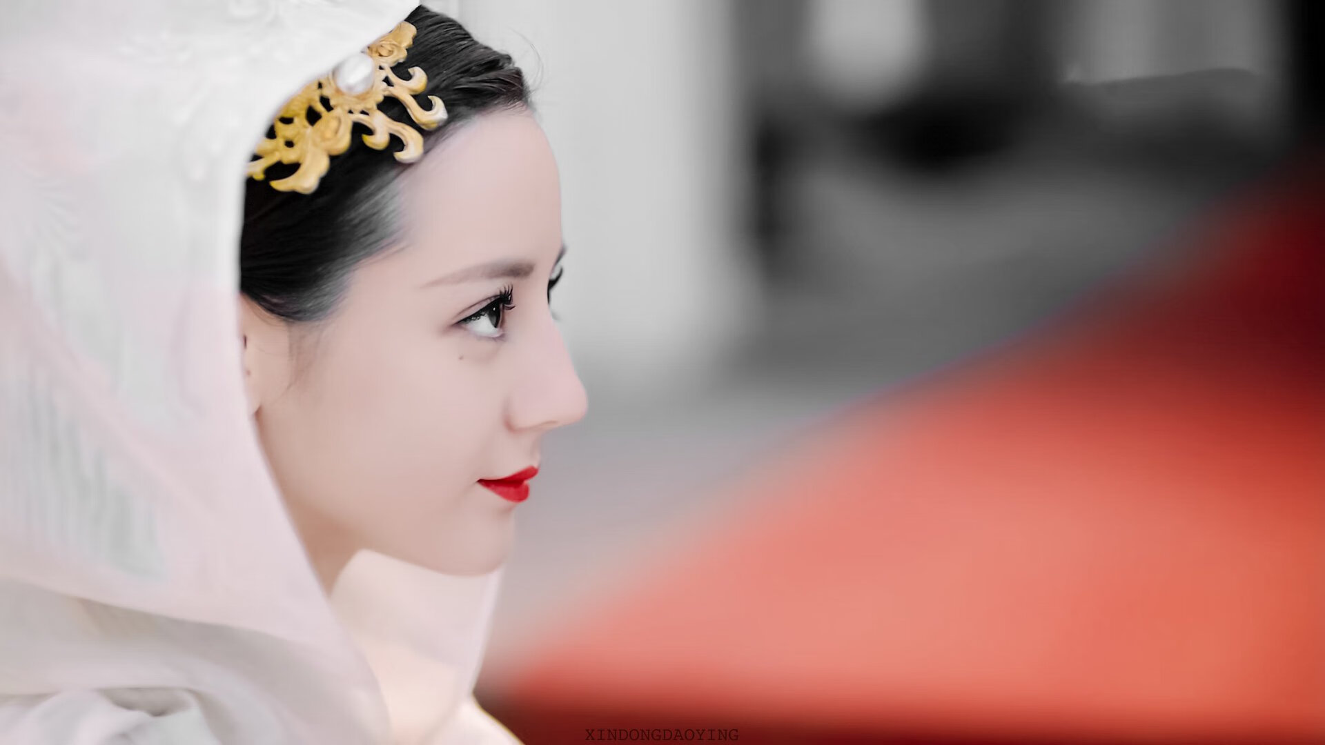 中美蝶泳后程体能储备策略分化明显,蝶泳业余