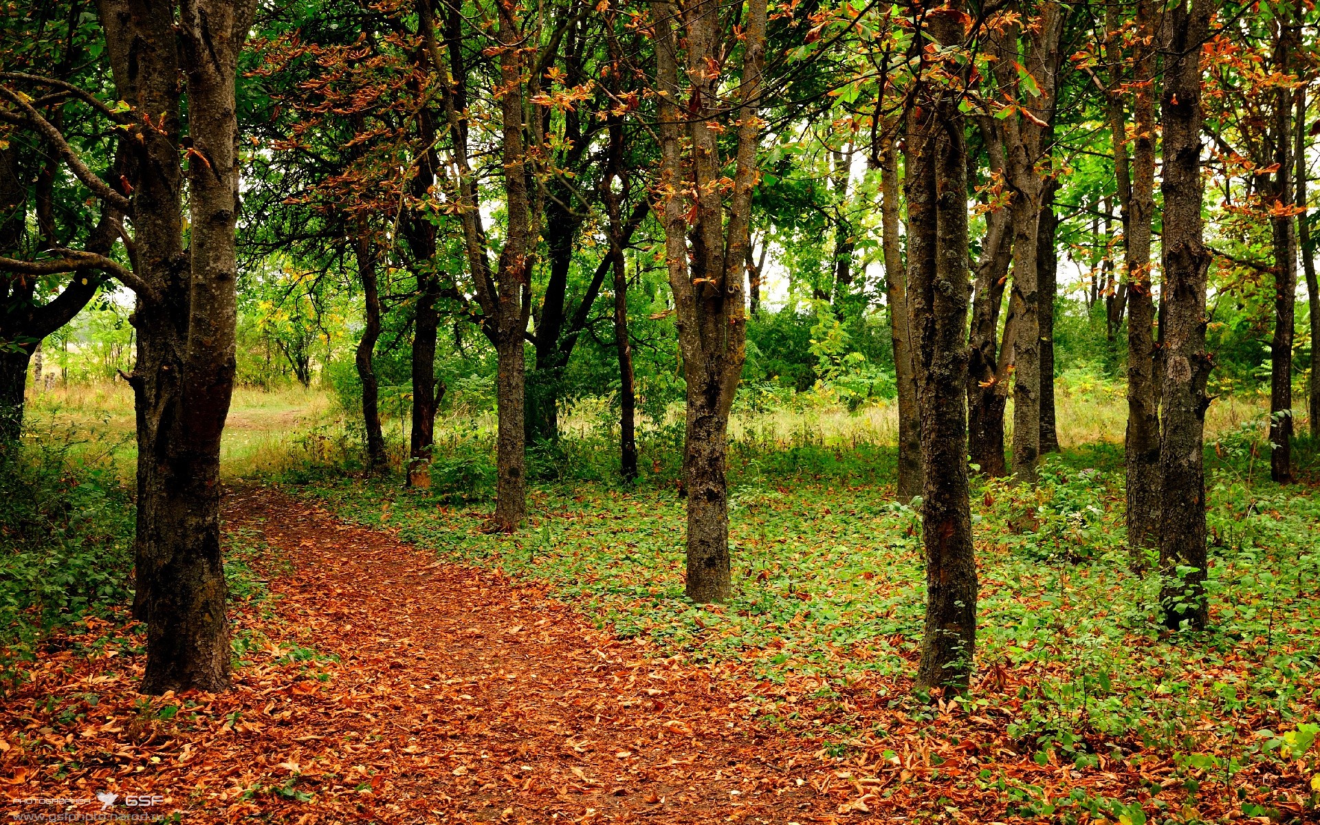 中超裁判员交流计划提升判罚稳定性，中超裁判员一场多少钱