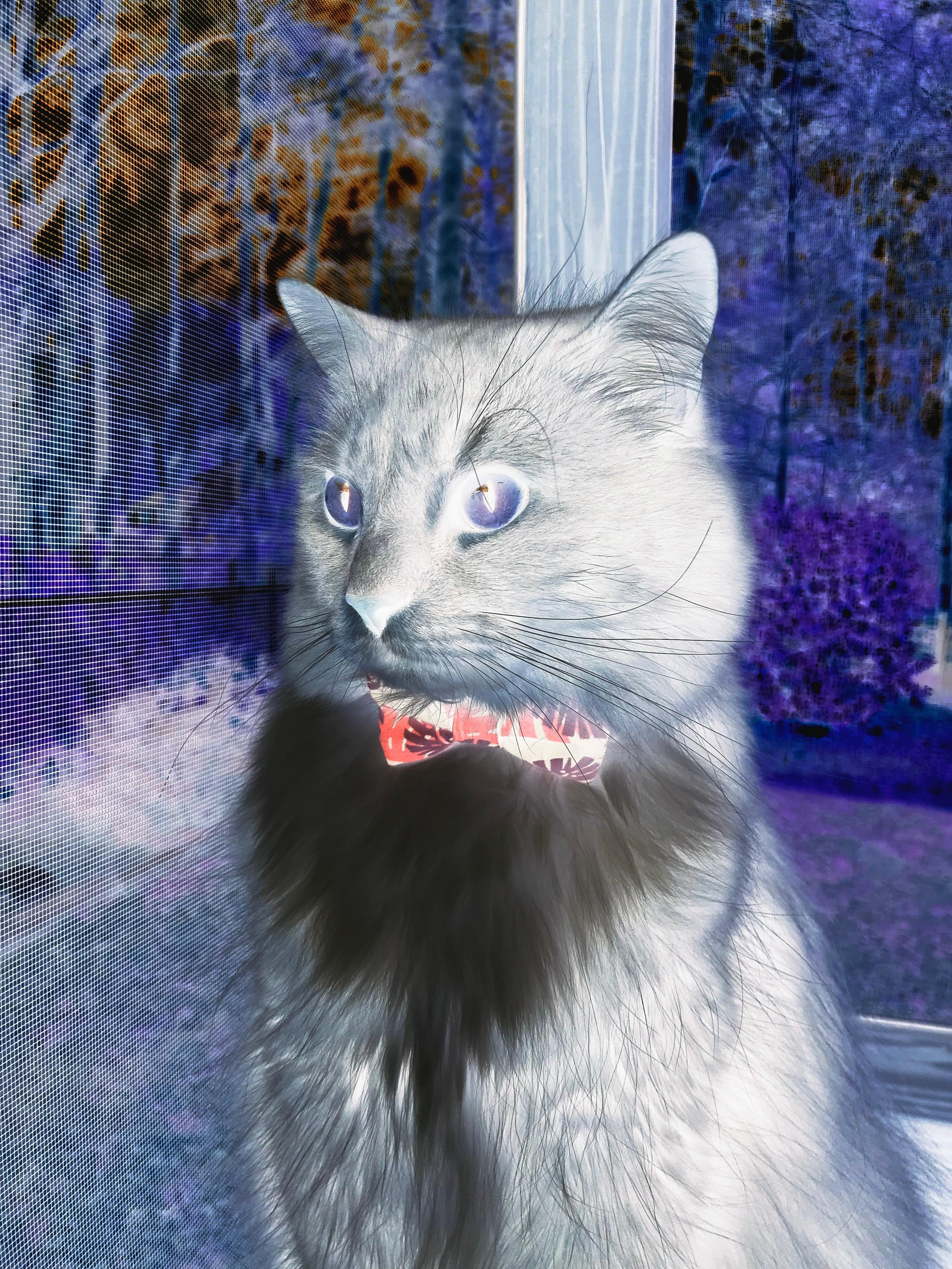 季后赛防守节奏对比常规赛分析，季后赛比常规赛强的球员