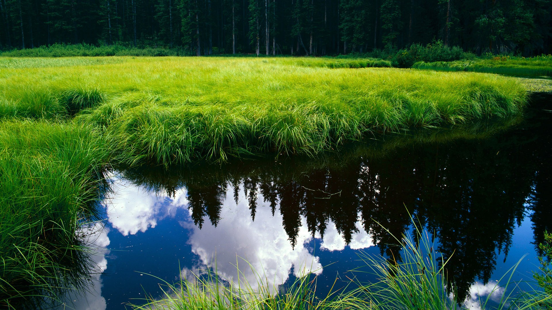 解析埃及赛制:赛事设置如何推动乒乓技术发展,埃及乒乓球名将