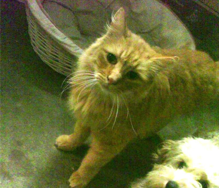 地方联赛与高校联赛互通机制建立加强竞赛资源整合，比赛联赛