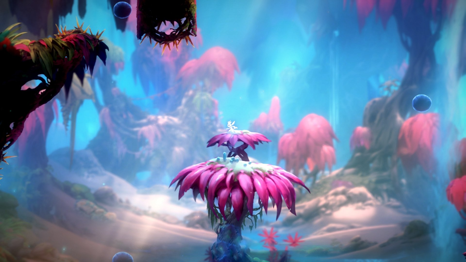 新闻中心发布体育展会进场说明及赞助方名单，体育展会的主题